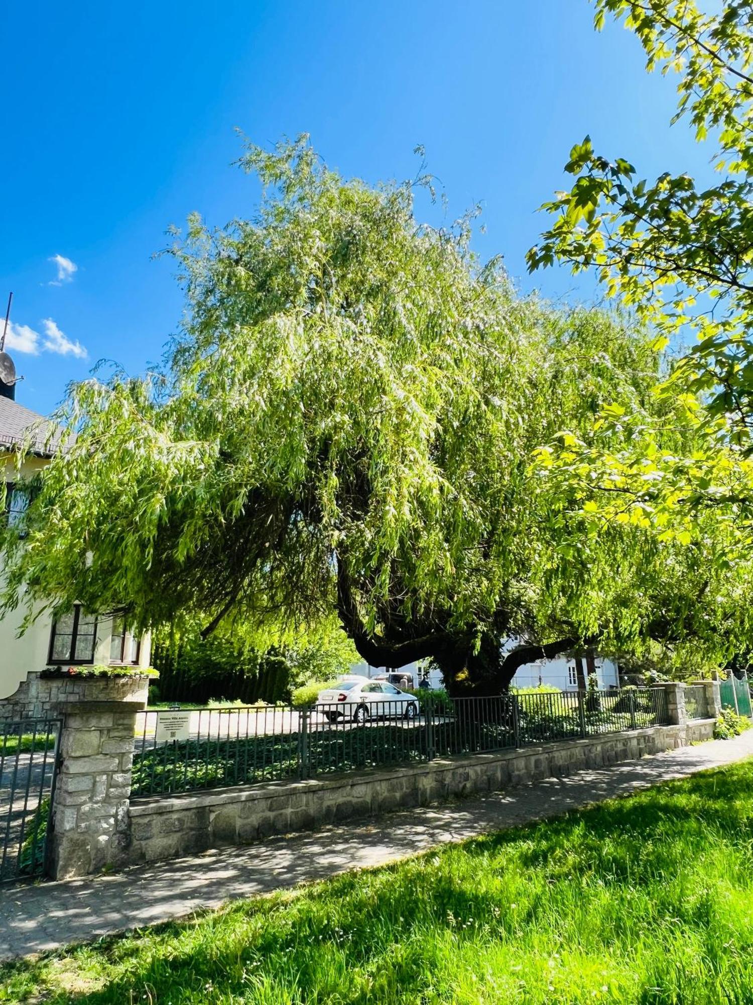 Penzion Villa Ancora Šumperk Exteriör bild