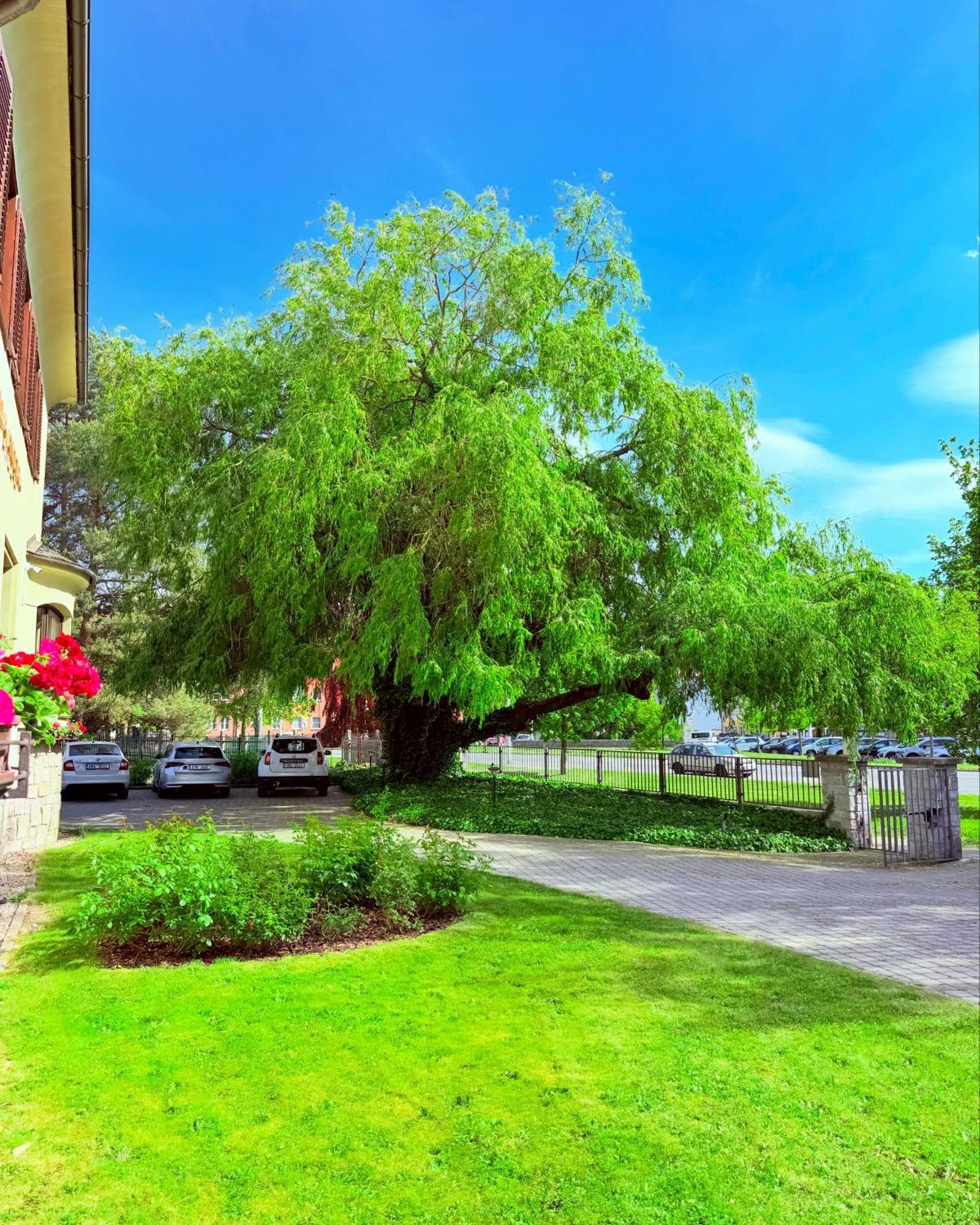 Penzion Villa Ancora Šumperk Exteriör bild